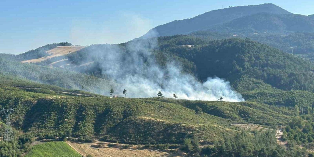 Honaz’daki orman yangını kontrol altına alındı