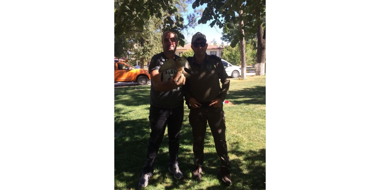 Yaralı atmaca tedavi altına alındı