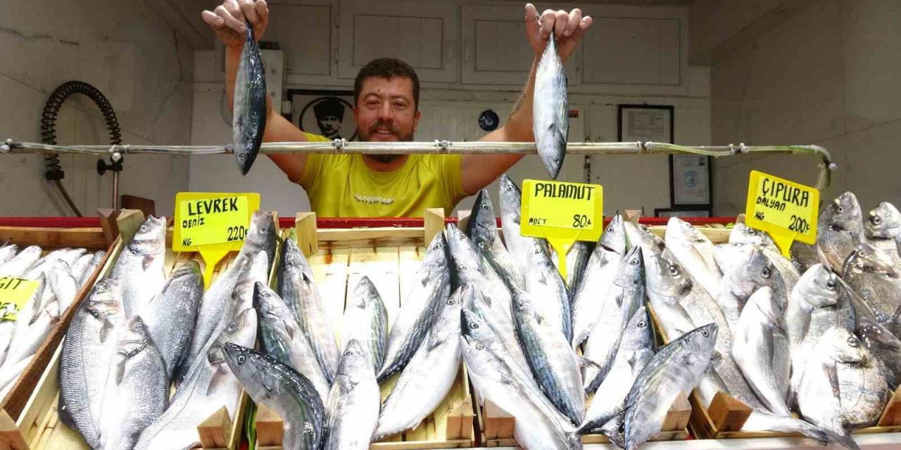 Sezonun ilk palamutları tezgahta...Fiyatıyla yüzleri güldürdü