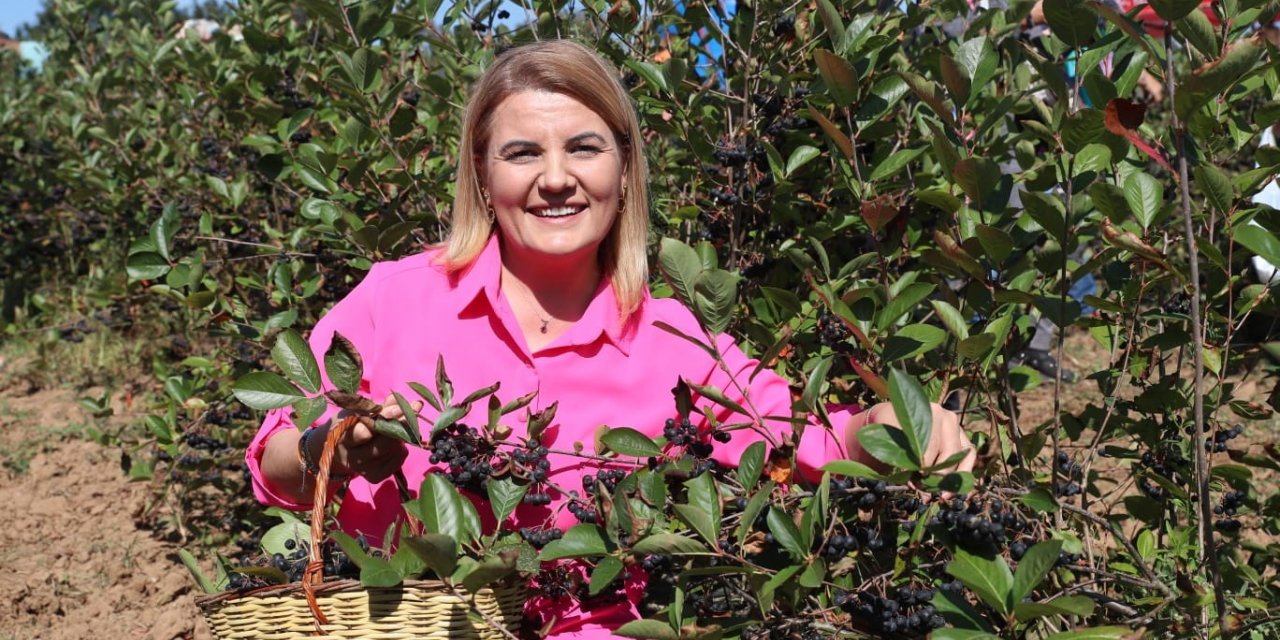 Bu meyvenin faydaları saymakla bitmiyor