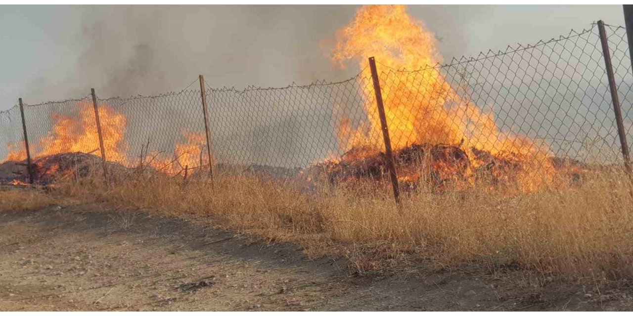 Siirt’te fıstık ve üzüm bahçesinde çıkan yangın söndürüldü