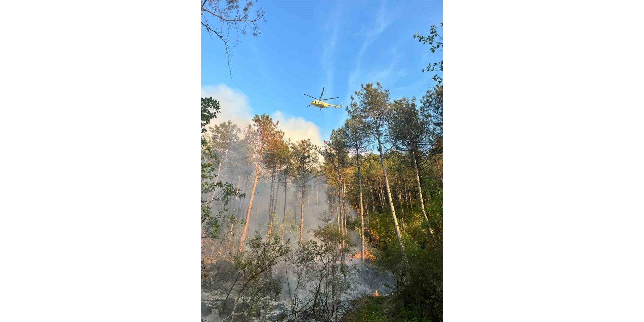 Karabük’teki orman yangını söndürüldü