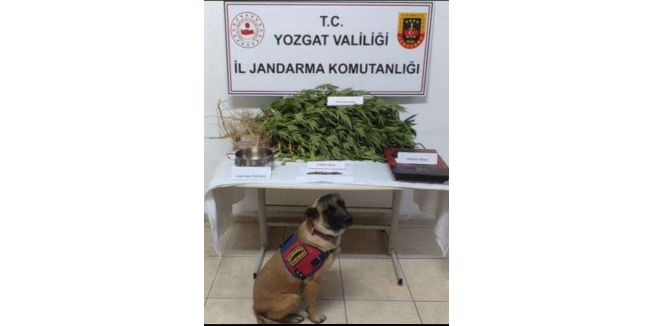 Yozgat’ta uyuşturucu operasyonu: 1 tutuklu
