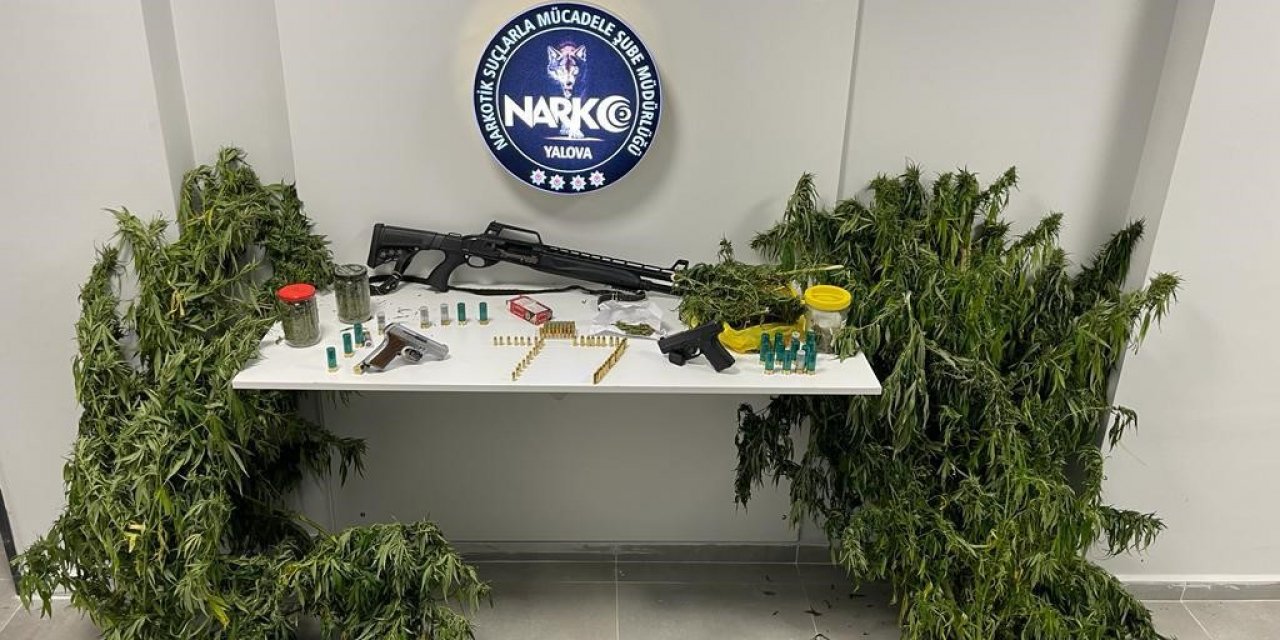 Yalova’da uyuşturucu operasyonu: 1 tutuklama