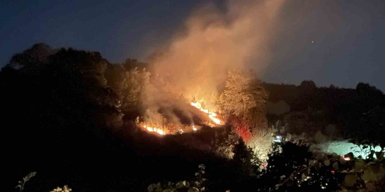 Kocaeli’de anız yangını: Köpek dumanların arasından kurtarıldı