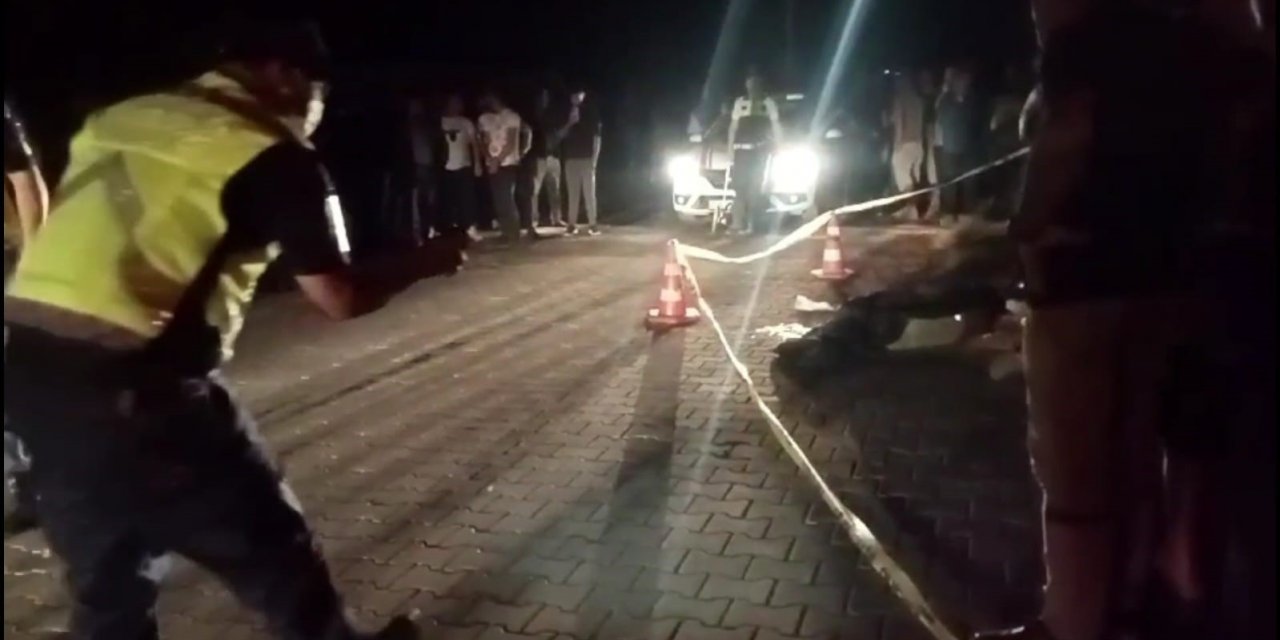 Aydın'da telefon direğine çarpan motosiklet sürücü Akın Özkan hayatını kaybetti