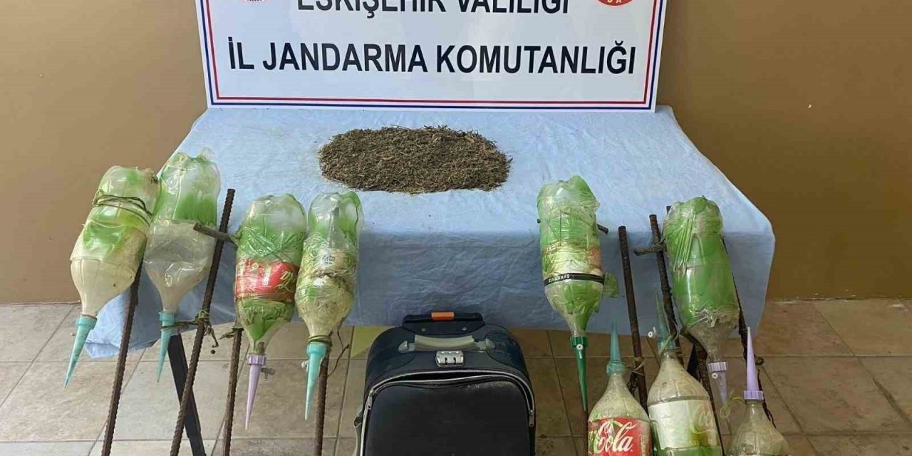 Ormana ekilen uyuşturucu jandarma tarafından bulundu