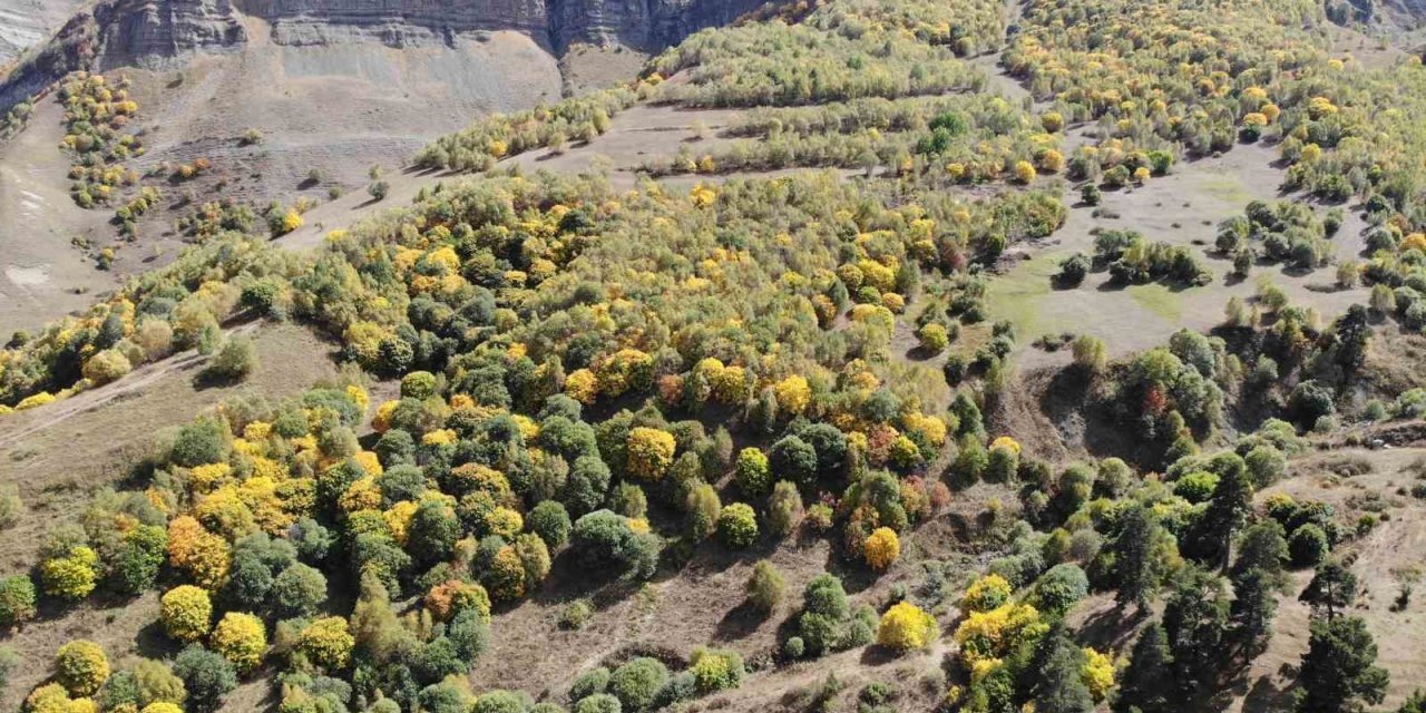 Sonbahar renkleri erken başladığı köy foto tutkunlarının ilgisini çekiyor