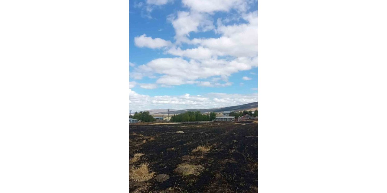 Ardahan’da çıkan anız yangını söndürüldü