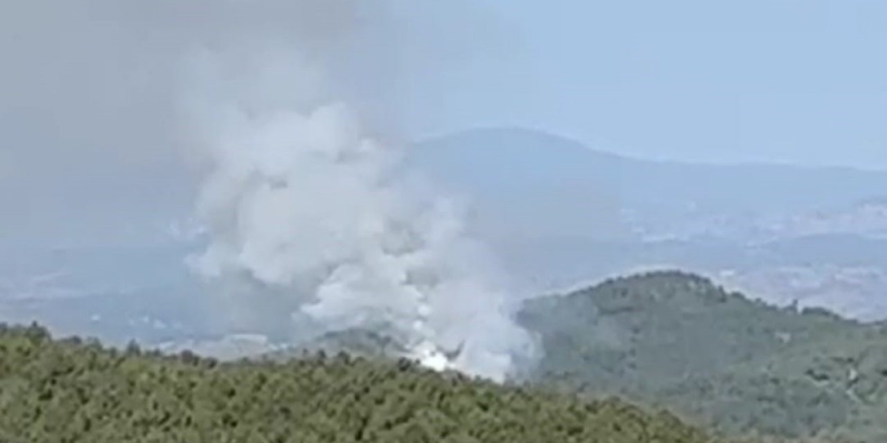 Kütahya’da orman yangını