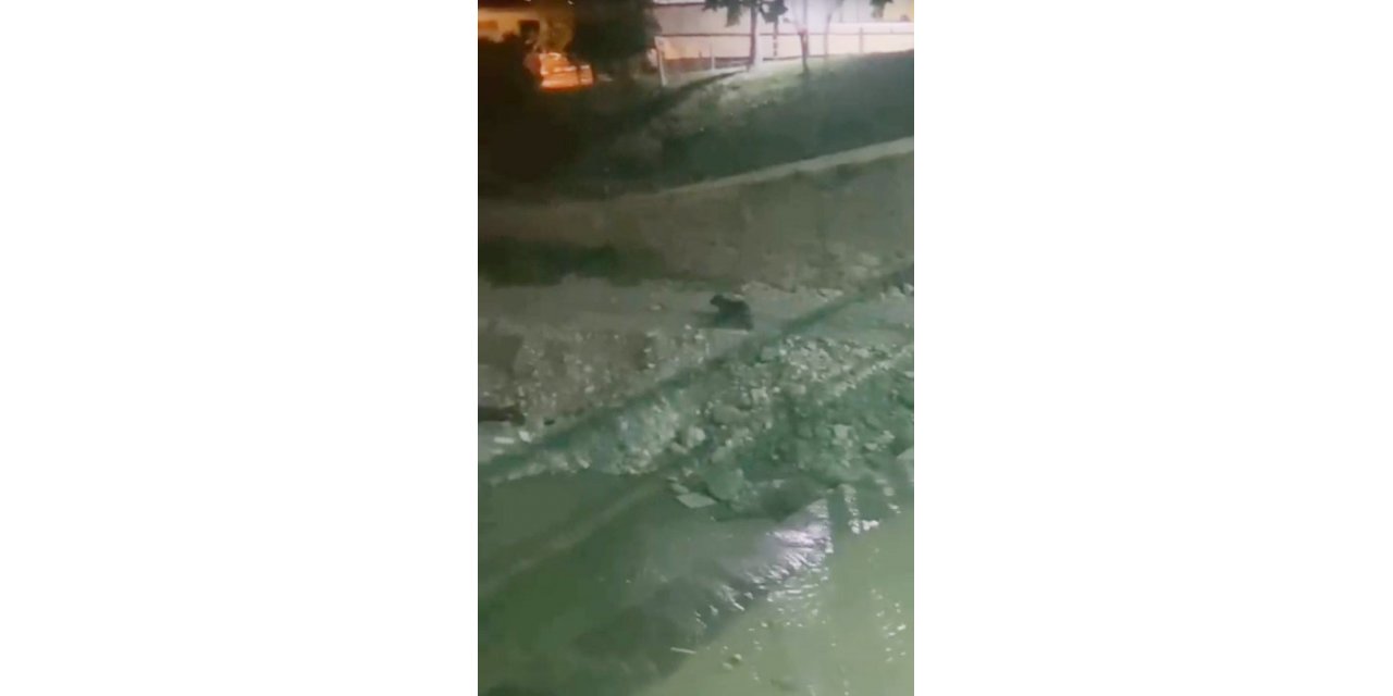 Ayılar, ilçe merkezine indi