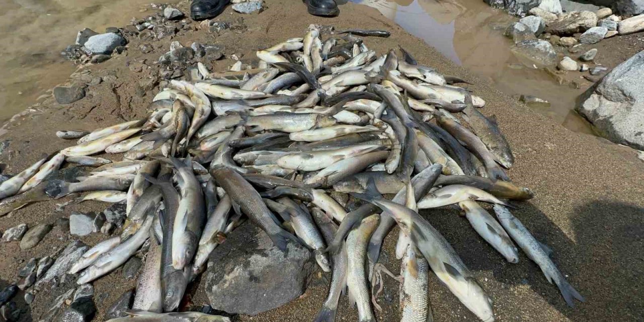 Engiz Çayı’ndaki balık ölümlerinin nedeni ’beton’