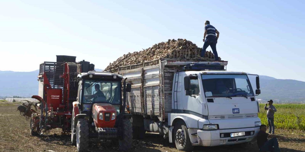 Burdur’da şeker pancarı hasadı sürüyor