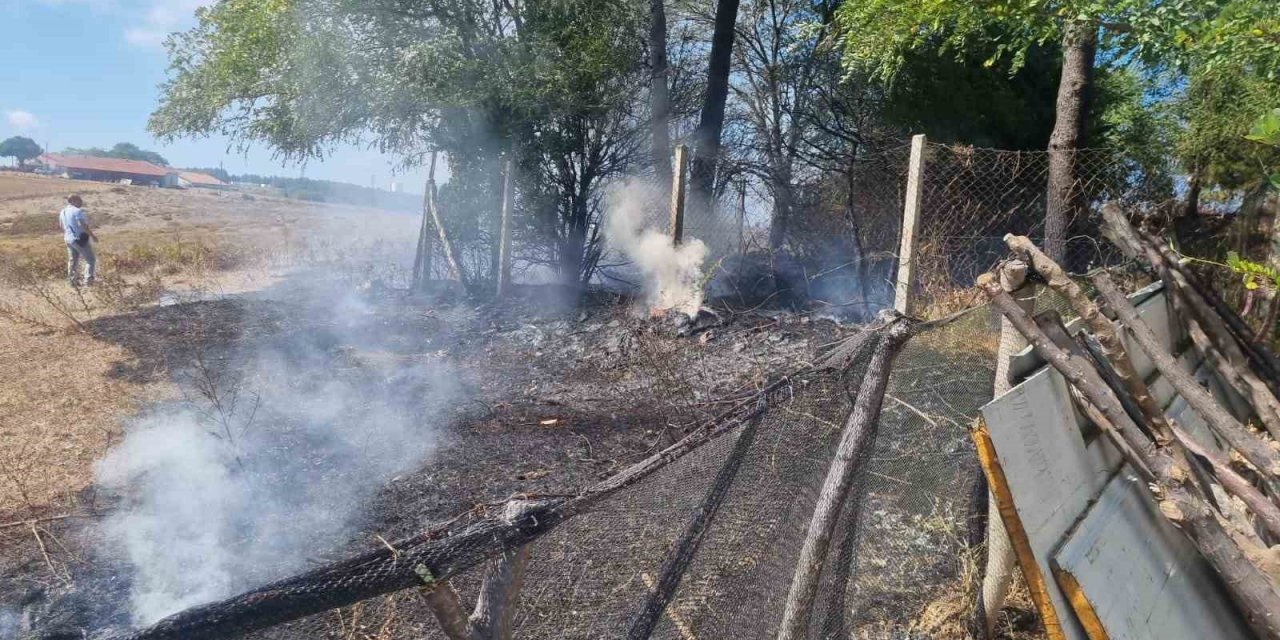 Sinop’ta çıkan eş zamanlı yangınlar korkuttu