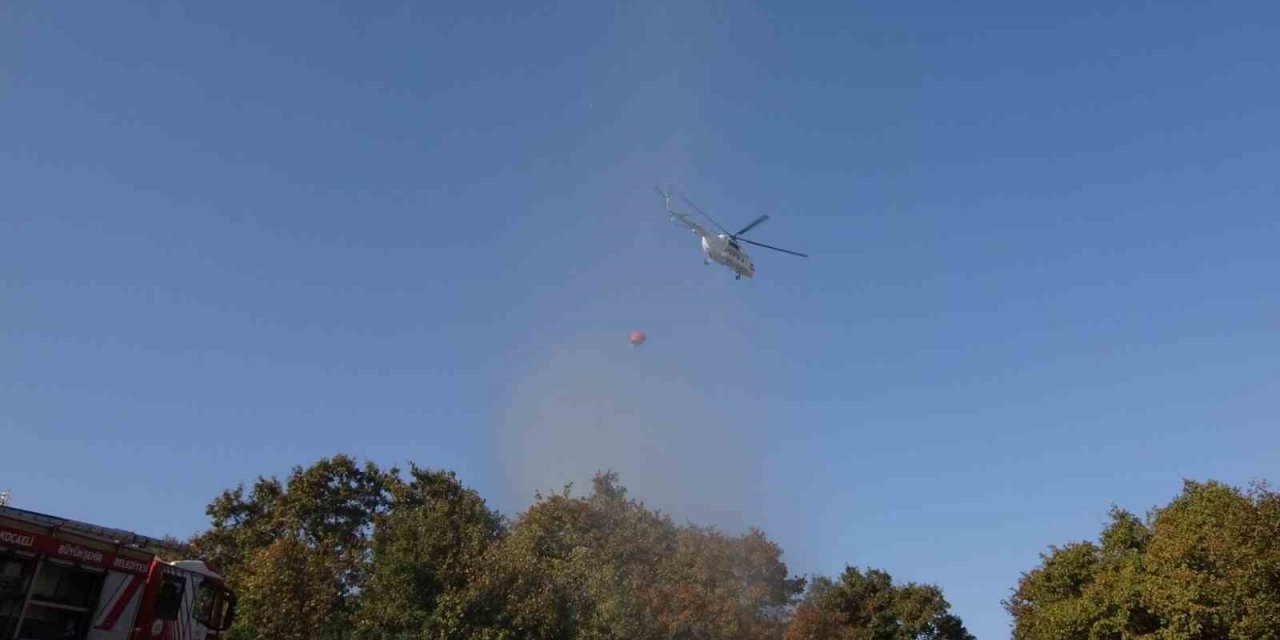 Kocaeli’de çıkan orman yangını söndürüldü
