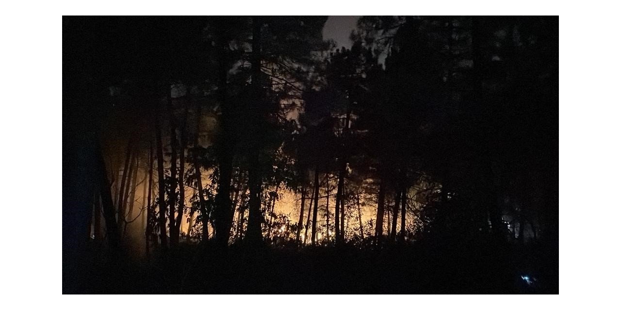 Çekmeköy’de ormanlık alanda çıkan yangın söndürüldü