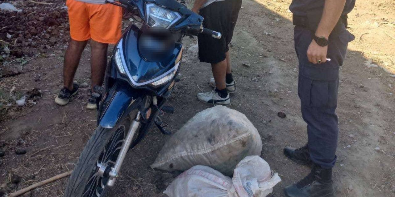 Jandarma incir hırsızlarına göz açtırmıyor