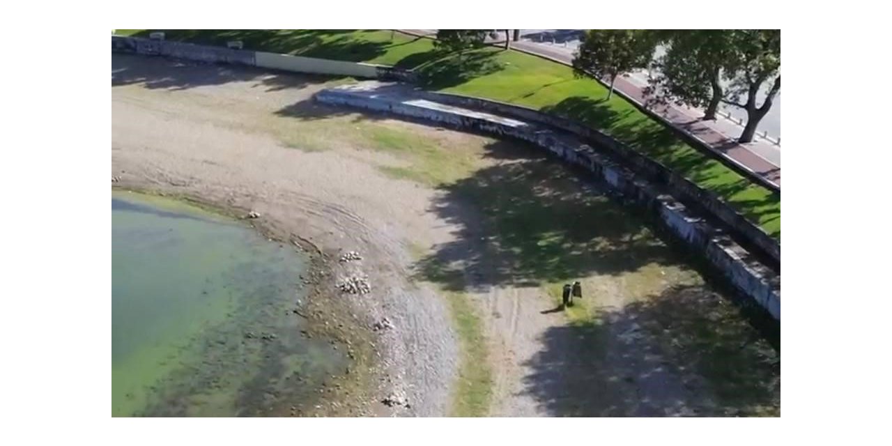 İznik Gölü’nde tehlikeli görüntü