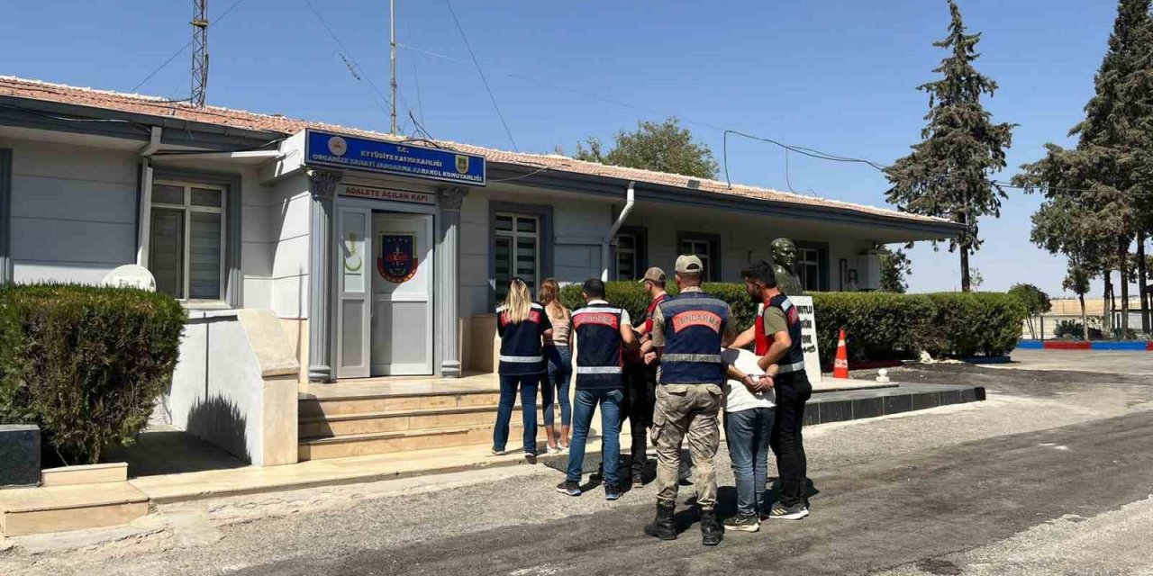 Hırsızların bagajından koyun çıktı