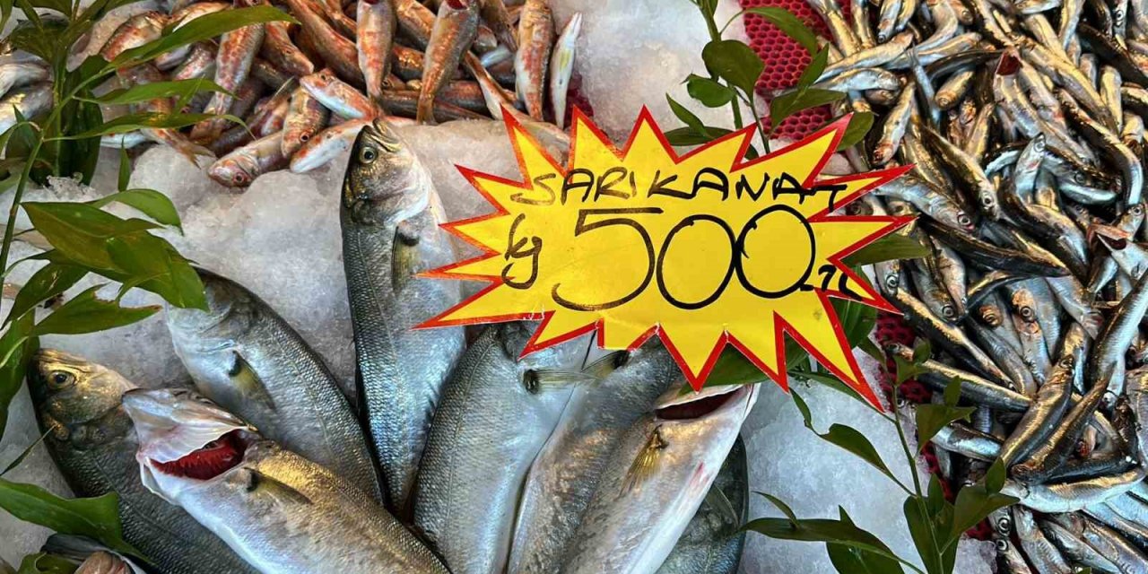 Balık çeşidi az olunca fiyatlar yükseldi