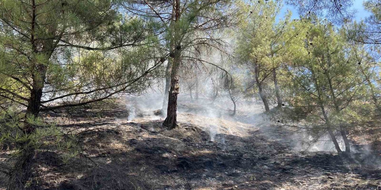 Kastamonu’da orman yangını: Ekiplerin müdahalesi ile kısa sürede söndürüldü