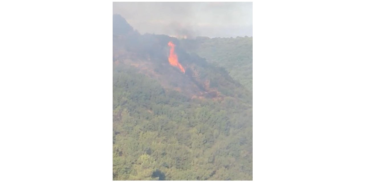 Sultangazi Kent Ormanı’nda yangın çıktı: Havadan müdahale ediliyor