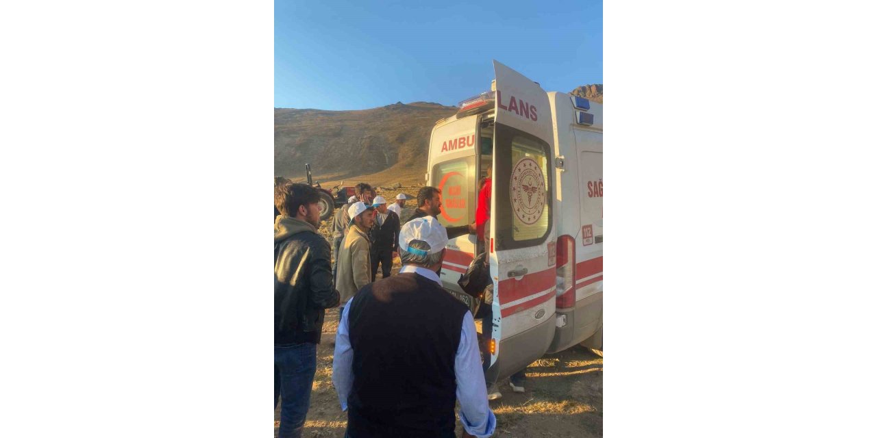 Şehitler anısına vefa yürüyüşü yapan gruba ayı saldırdı: 1 kişi yaralandı