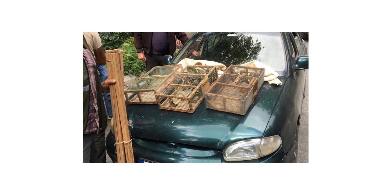 Saka kuşlarını avlayan 2 şahıs suç üstü yakalandı, 73 bin TL ceza kesildi