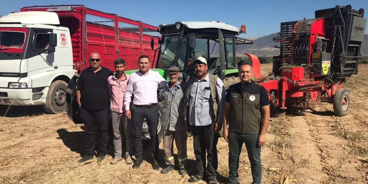 Dinar’da pancar hasadı başladı