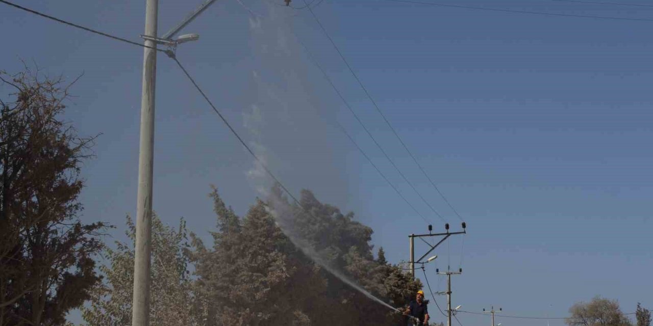 Elektrik hatlarını yıkayarak temizliyorlar