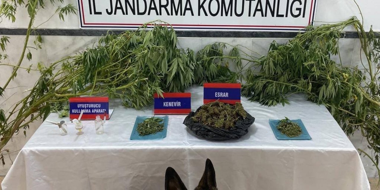 Kuyucak’ta uyuşturucu operasyonu