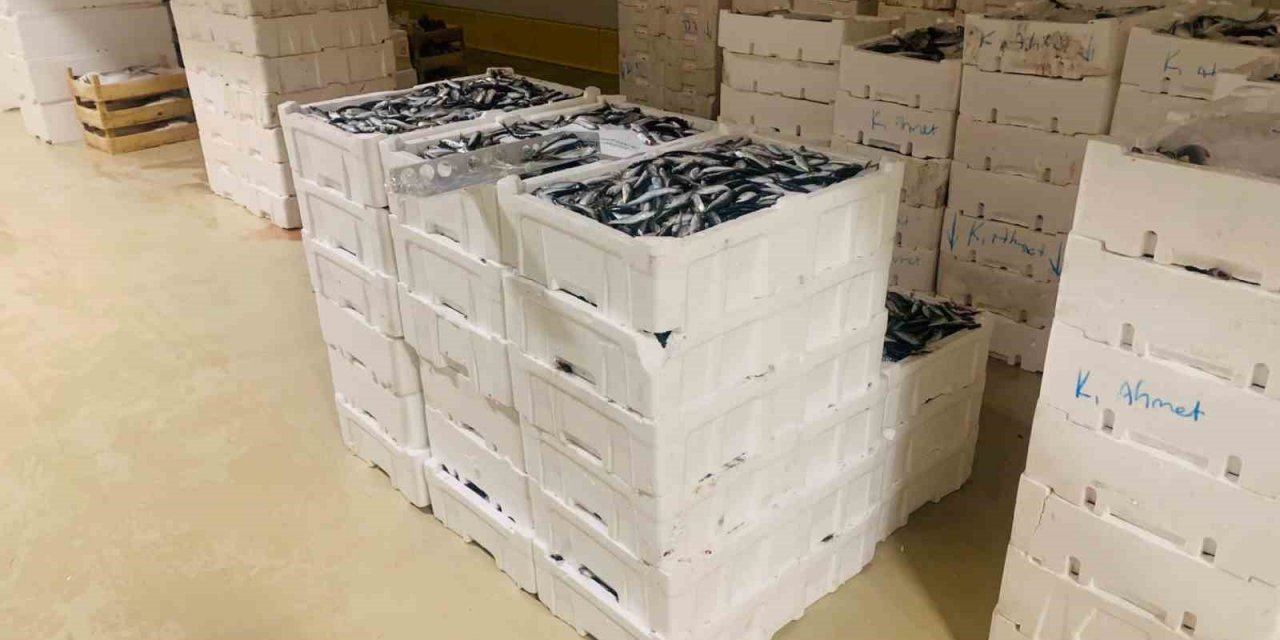 İstanbul’da boy yasağına aykırı avlanan 3 ton istavrit balığına el konuldu