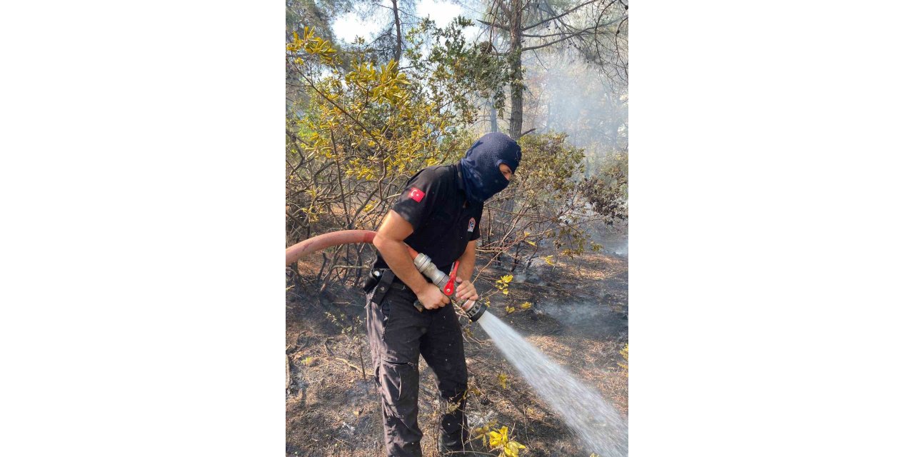 Anız yakarak toprağı öldürmeyin