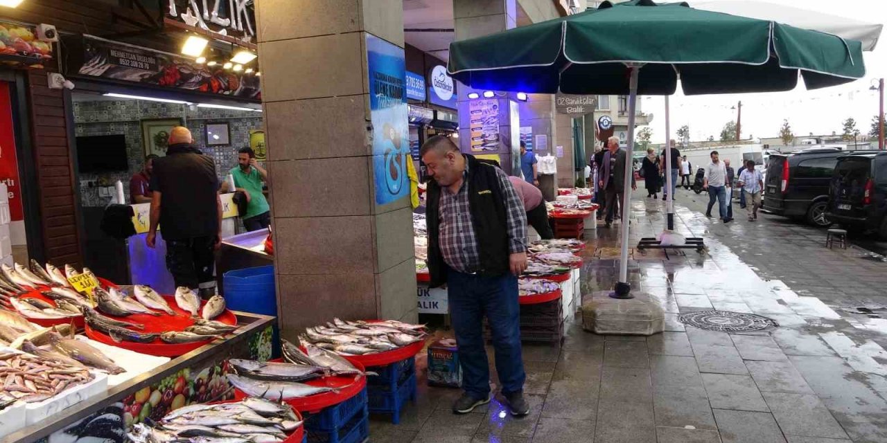 Karadeniz’de balık bereketi