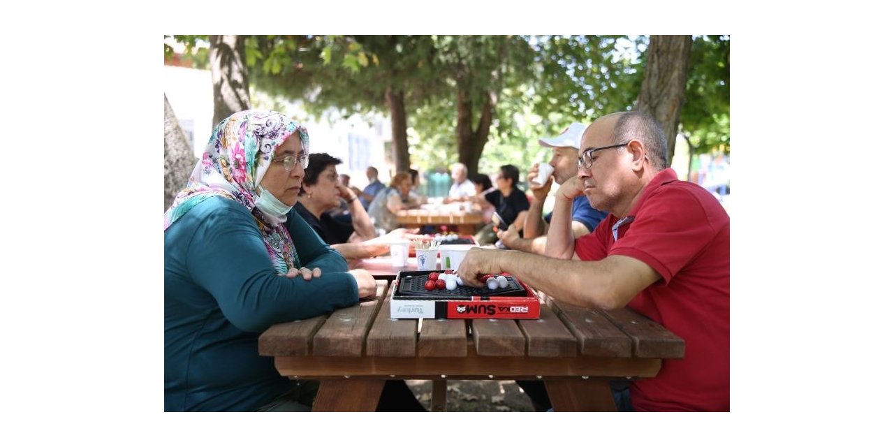 Merkezefendili büyüklere satranç, akıl ve zeka oyunları kursu