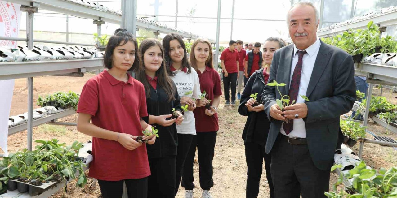 Sarıcakaya’da çilekler, topraksız tarım ve su kültürü tekniği ile yetişecek