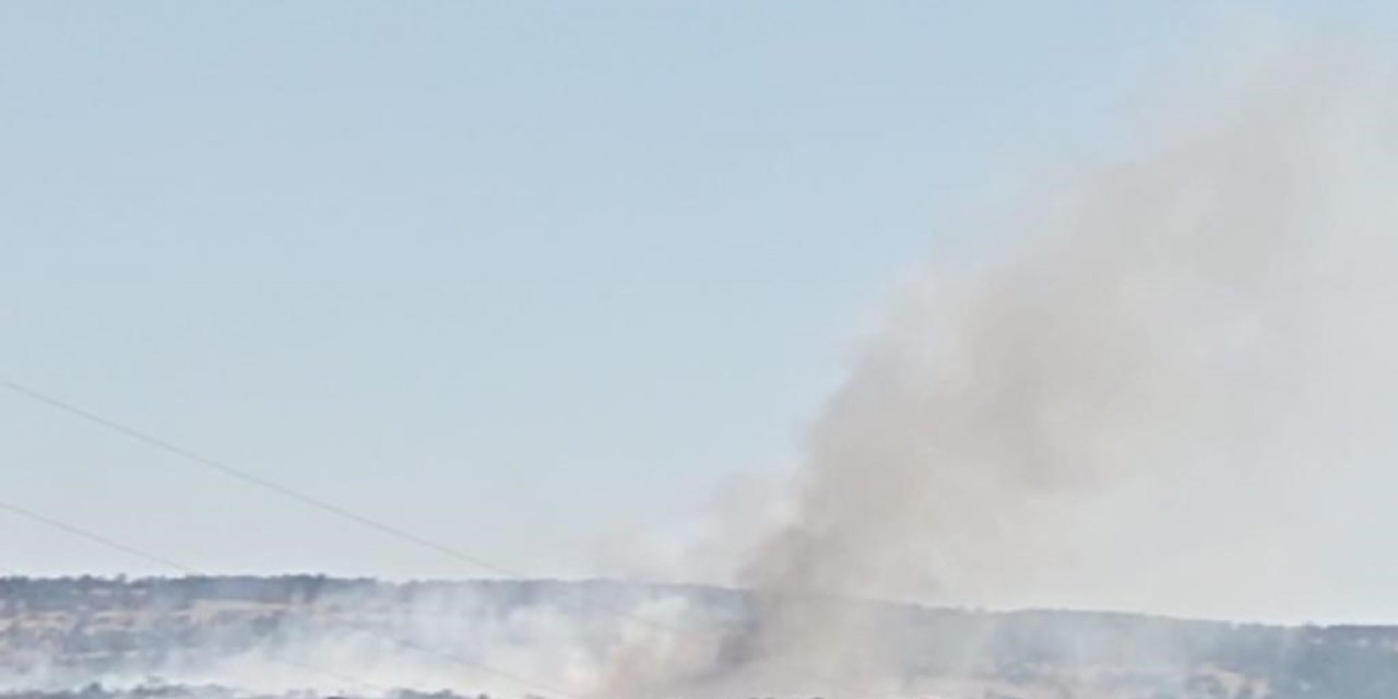 Eskişehir’de orman yangını