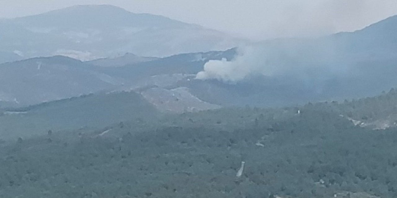 Manisa’da orman yangını