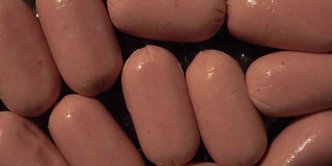 Prof. Dr. Arıca, Çin tuzunun sağlığa zararlarını anlattı