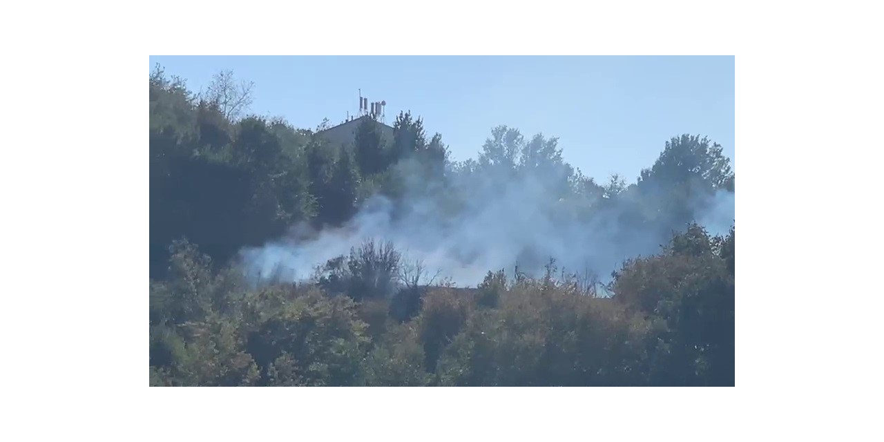 Çalılıkta çıkan yangın ormanlık alana sıçramadan söndürüldü