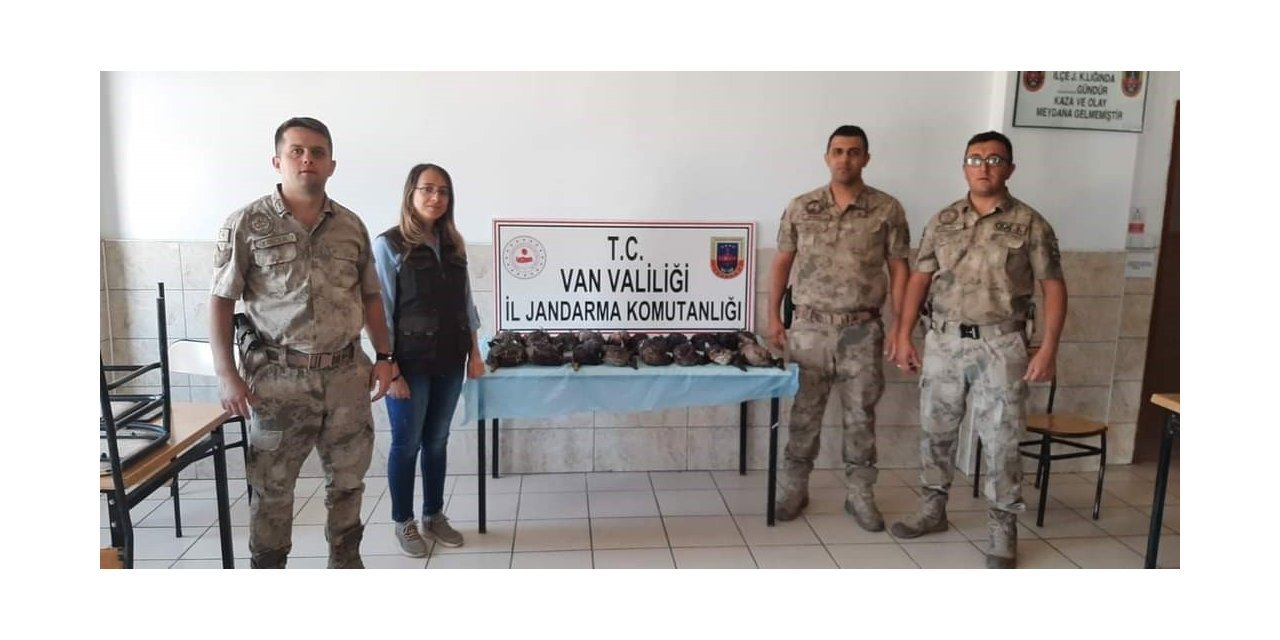 Van’da kaçak olarak yaban ördeği avlayanlara ceza