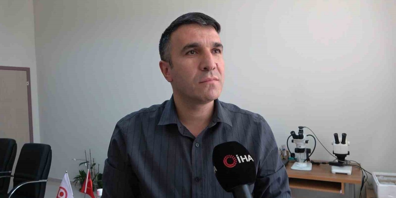 O örümcekle ilgili uzmanlardan rahatlatan açıklama