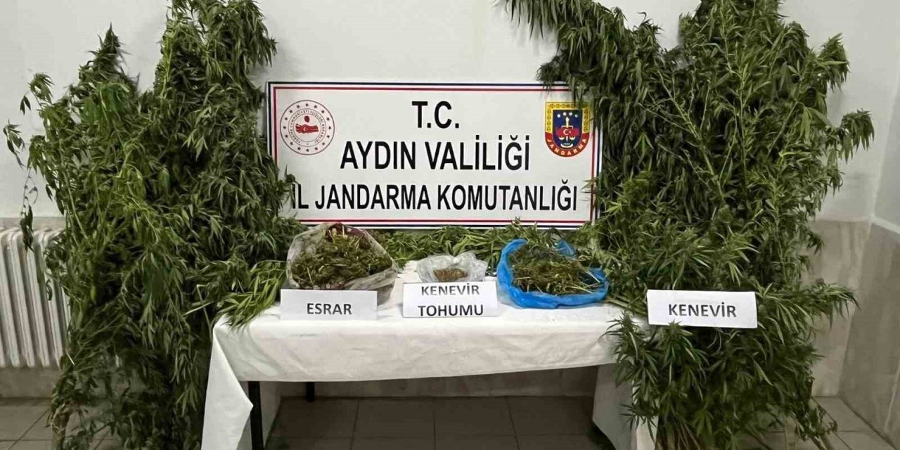 Didim’de uyuşturucu operasyonu: 1 gözaltı