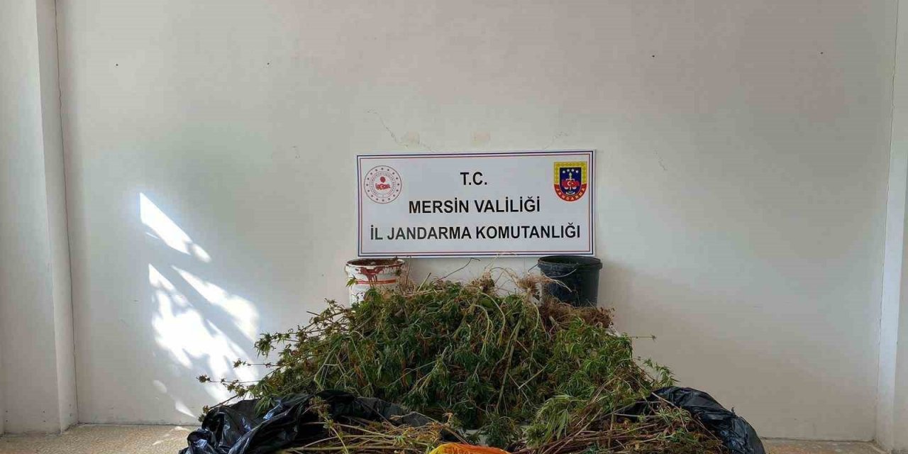 Mersin’de uyuşturucu operasyonu: 2 gözaltı