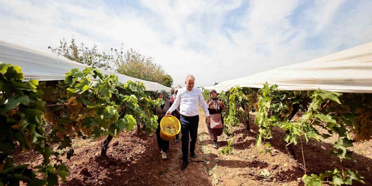 Salkım güvesiyle mücadele tarla gününde anlatıldı
