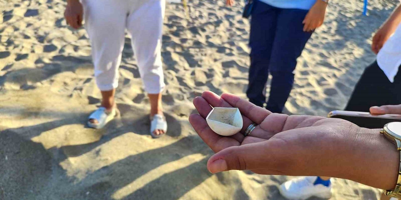 Alanya’da caretta caretta yuvalarındaki yumurtalar tek tek kontrol edildi