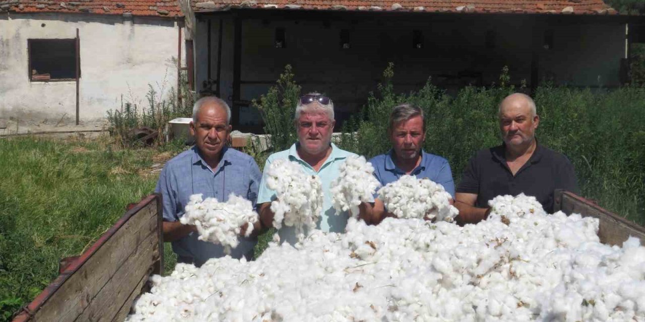 Söke Ziraat Odası pamukta fiyat beklentisini açıkladı