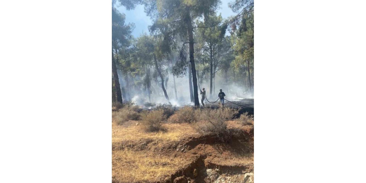 Ormanlık alandaki örtü yangını ekipler tarafından kontrol altına alındı