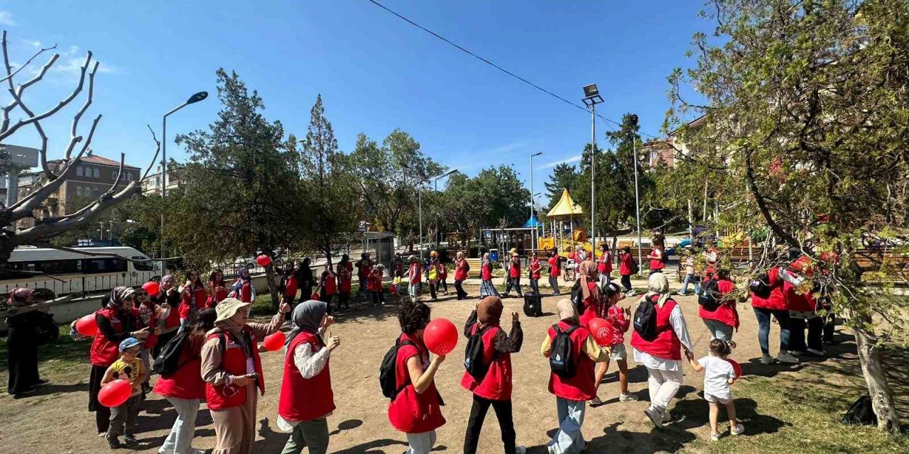 Kırıkkale’ye gelen gönüllü gençler çeşitli faaliyetler düzenledi