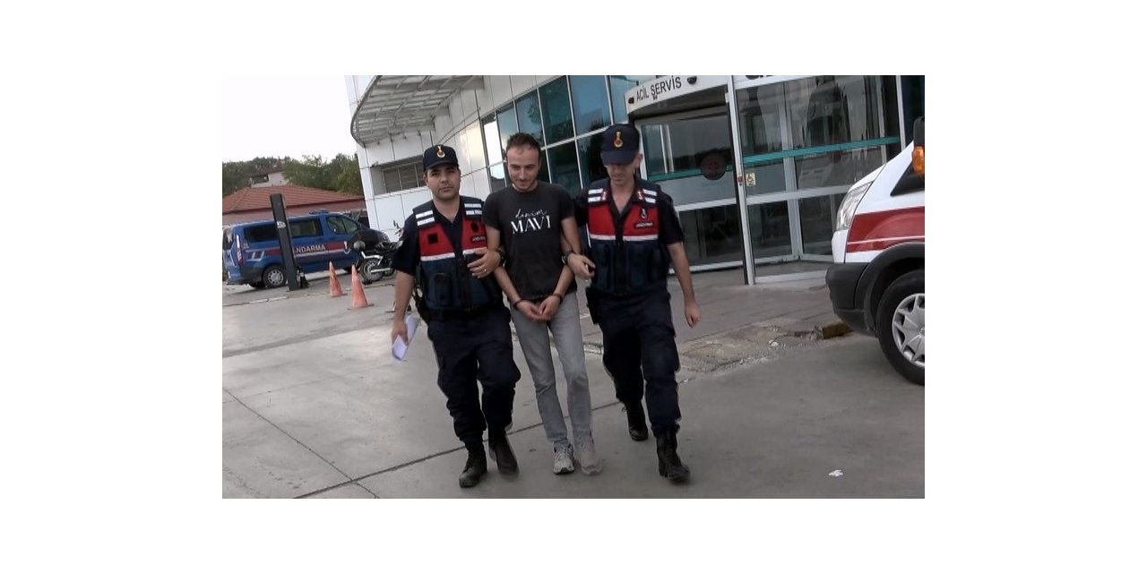 Silahla 3 büyükbaş hayvanı telef eden şahıs tutuklandı